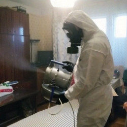 Дезинфекция от клопов в Ряжске