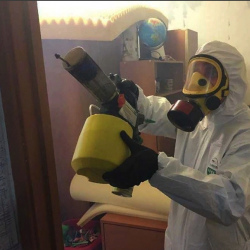 Уничтожение клопов в квартире. Ряжск